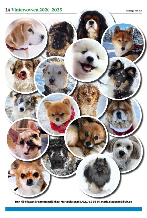 vestmanlandslanstidning_bilag-20260207_000_00_00_014.pdf