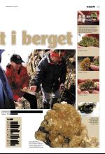 vestnytt-20060427_000_00_00_023.pdf