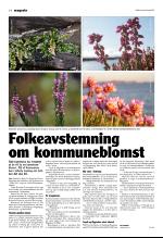 vestnytt-20070426_000_00_00_014.pdf
