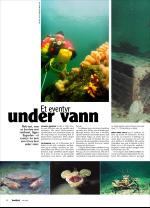 vestnytt_del2-20060601_000_00_00_026.pdf