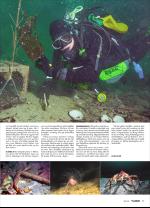 vestnytt_del2-20060601_000_00_00_027.pdf