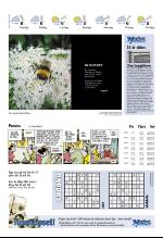 vestnytt_del2-20061207_000_00_00_032.pdf