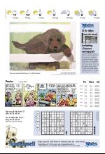 vestnytt_del2-20070329_000_00_00_032.pdf