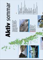 vestnytt_del2-20070607_000_00_00_020.pdf