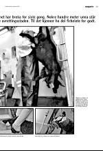 vestnytt_del2-20080925_000_00_00_003.pdf