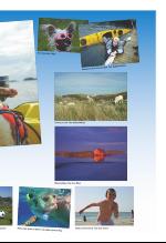 vestnytt_del2-20080925_000_00_00_013.pdf