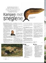 vestnytt_del2-20100506_000_00_00_022.pdf