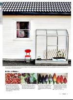 vestnytt_del2-20100506_000_00_00_031.pdf