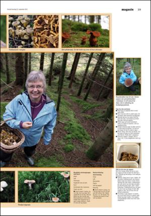 vestnytt_del2-20110922_000_00_00_003.pdf