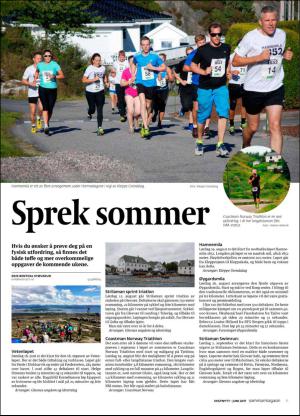 vestnytt_del2-20170616_000_00_00_011.pdf