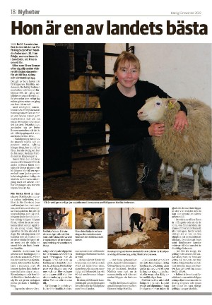 vetlandaposten-20221112_000_00_00_018.pdf