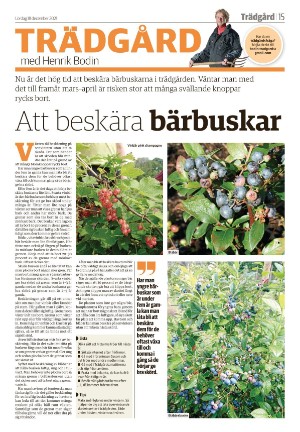 vetlandaposten_b-20211218_000_00_00_015.pdf