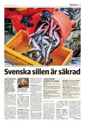 vetlandaposten_b-20211224_000_00_00_011.pdf