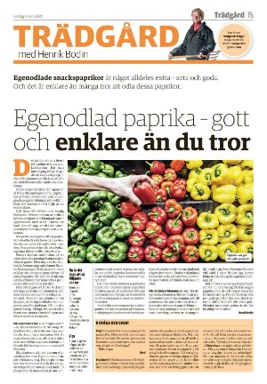 vetlandaposten_b-20220305_000_00_00_015.pdf