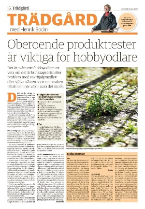 vetlandaposten_b-20220312_000_00_00_016.pdf