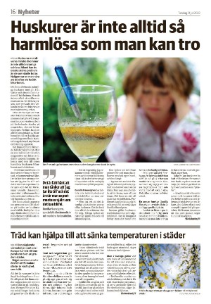 vetlandaposten_b-20220721_000_00_00_016.pdf