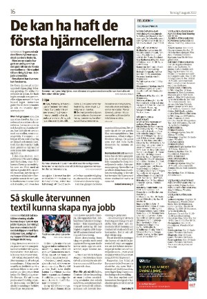 vetlandaposten_b-20220811_000_00_00_016.pdf