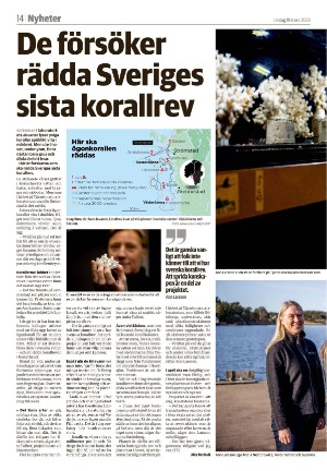 vetlandaposten_b-20230318_000_00_00_014.pdf