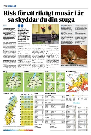 vetlandaposten_b-20241012_000_00_00_020.pdf