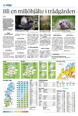 vetlandaposten_b-20250311_000_00_00_016.pdf