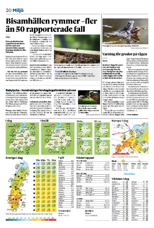 vetlandaposten_b-20250412_000_00_00_020.pdf