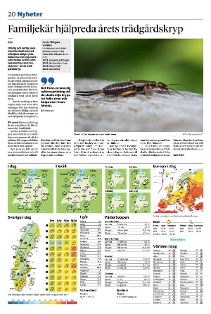 vetlandaposten_b-20250522_000_00_00_020.pdf