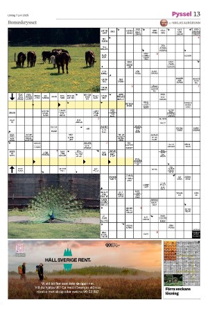 vetlandaposten_b-20250607_000_00_00_013.pdf