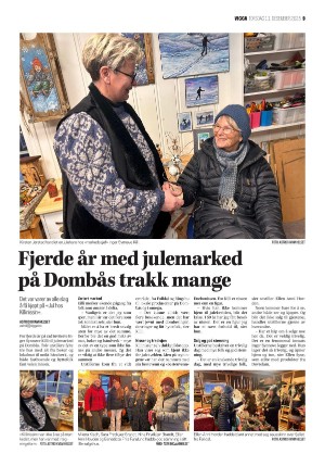 vigga-20251211_000_00_00_009.pdf