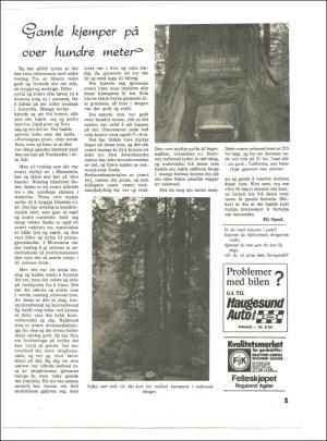 vindafjordingen-19780811_000_00_00_005.pdf