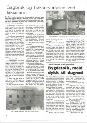 vindafjordingen-19800828_000_00_00_004.pdf