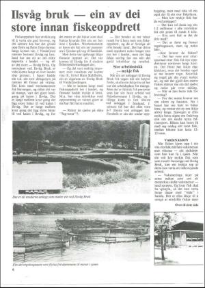 vindafjordingen-19811008_000_00_00_006.pdf