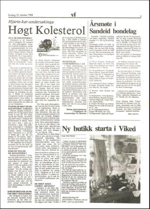 vindafjordingen-19881013_000_00_00_005.pdf
